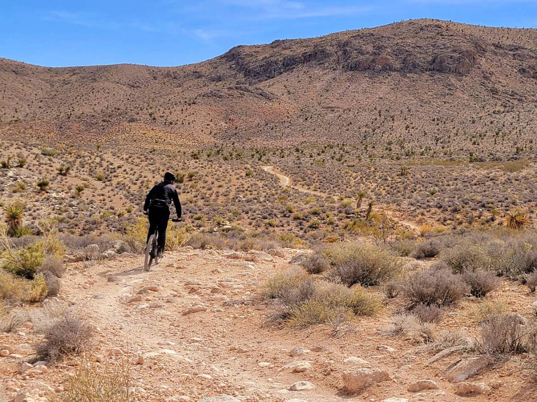 A mountain biker rides in the desert hills west of the community of Blue Diamond. (Natalie Burt)