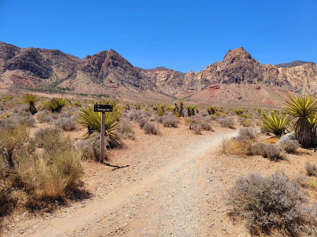 A sign marks the Mustang Loop Trail in the Cottonwood Valley area along state Route 160. (Natal ...