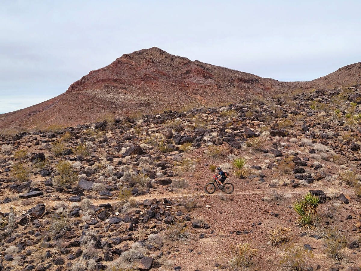 The McCullough Hills Trail of Sloan Canyon National Conservation Area caters to mountain bikers ...