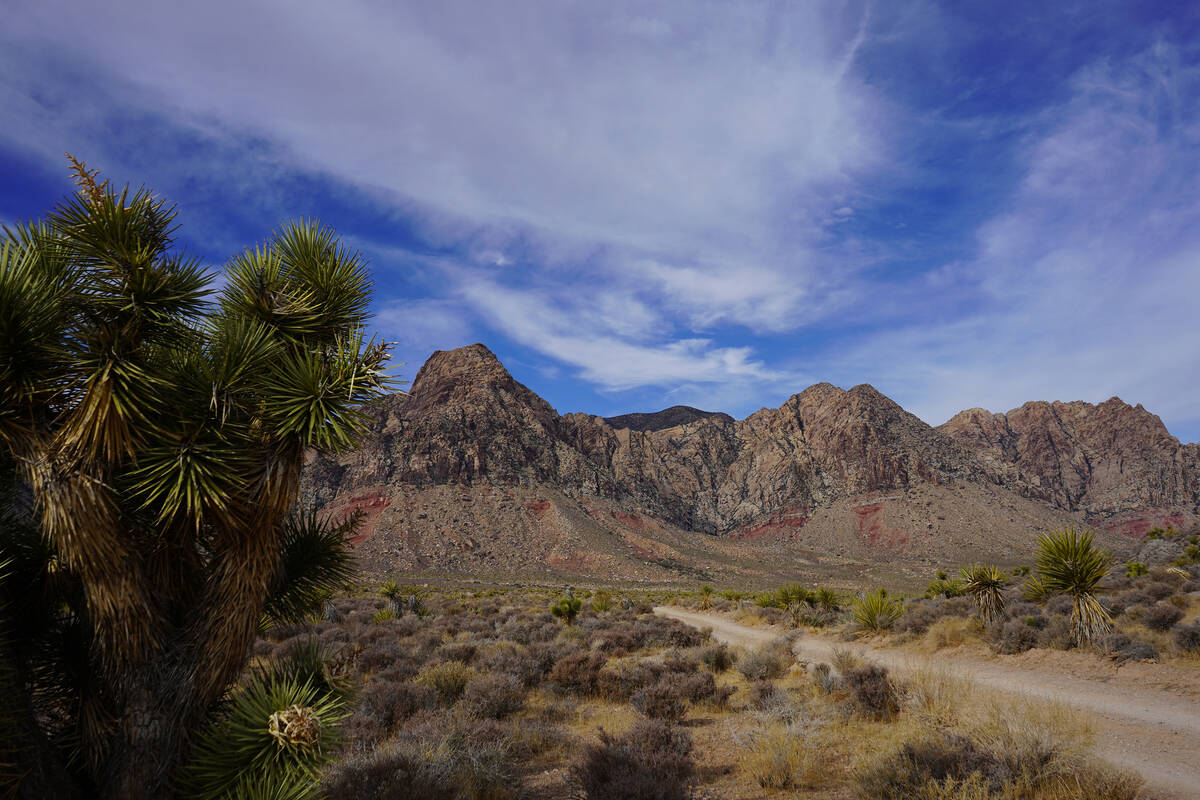 Accessible from the Late Night Trailhead, a network of rough roads and dusty trails leads to sp ...