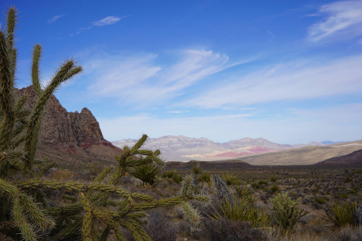 Distant views of the red and tan sandstone formations along the Red Rock Canyon scenic loop awa ...