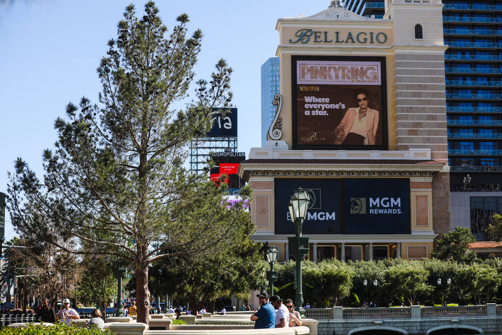 Trees in front of the Bellagio hotel-casino on the Strip in Las Vegas, Thursday, April 11, 2024 ...