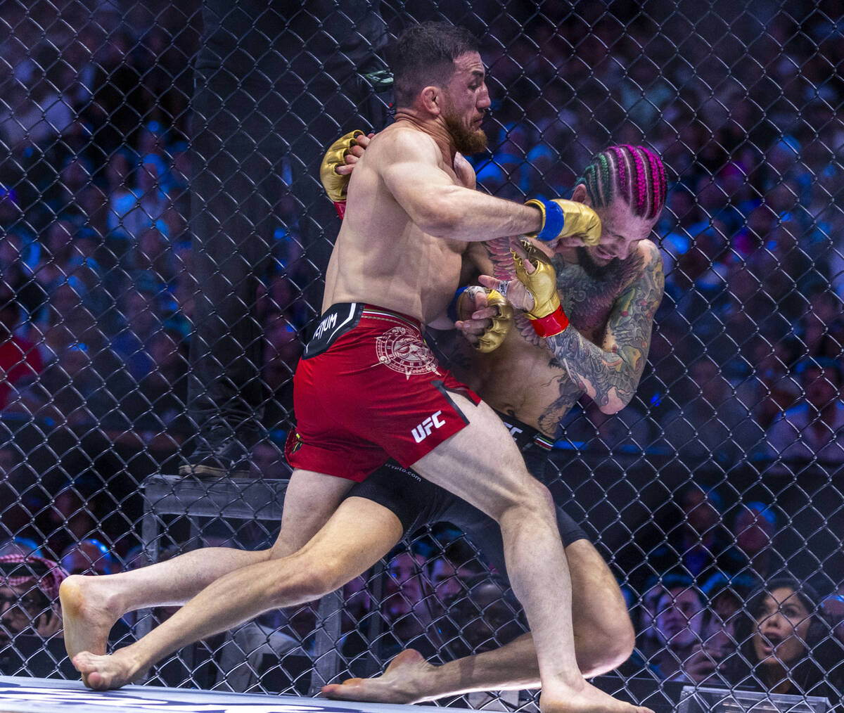 Merab Dvalishvili connects with a punch while driving Sean O'Malley into the fence in their ban ...