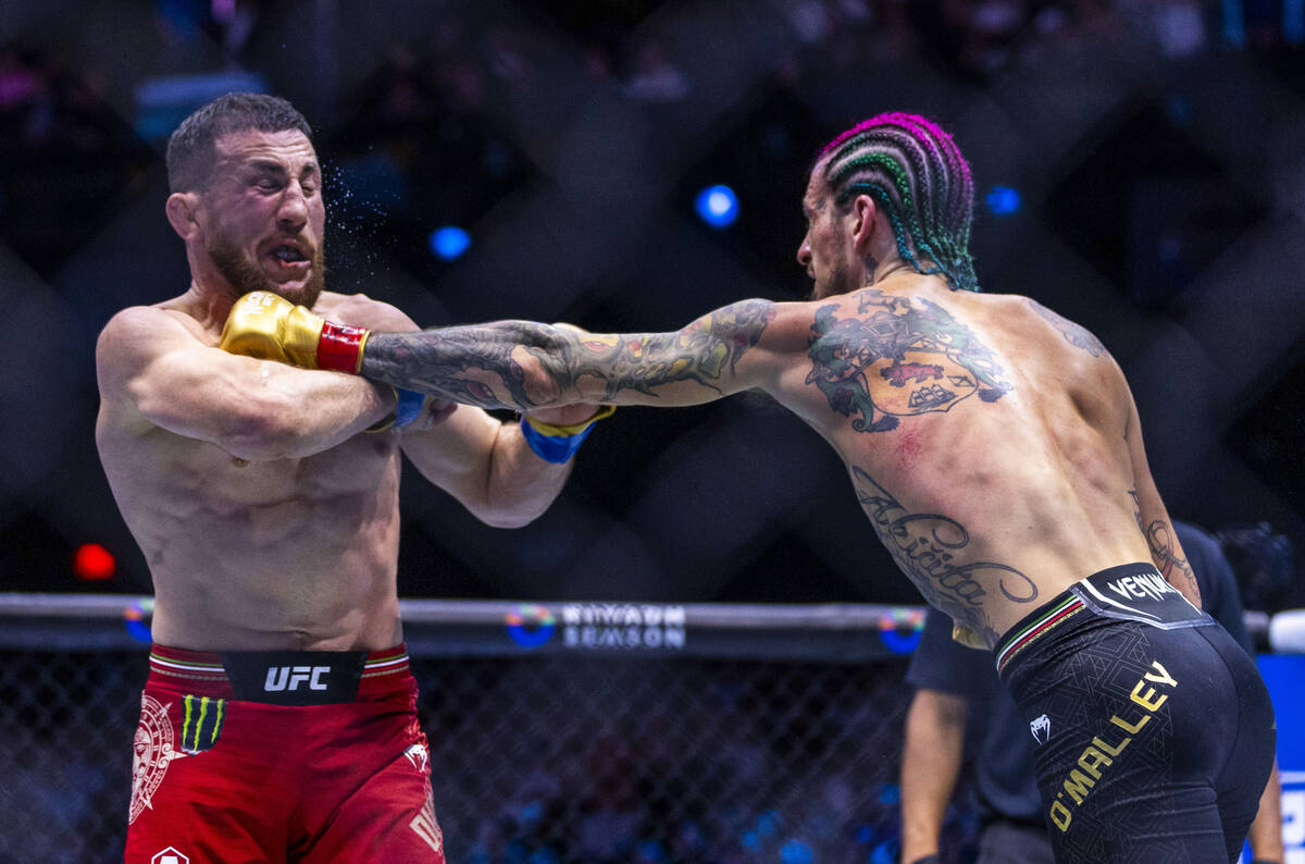 Merab Dvalishvili takes a punch to the face from Sean O'Malley into the fence in their bantamwe ...