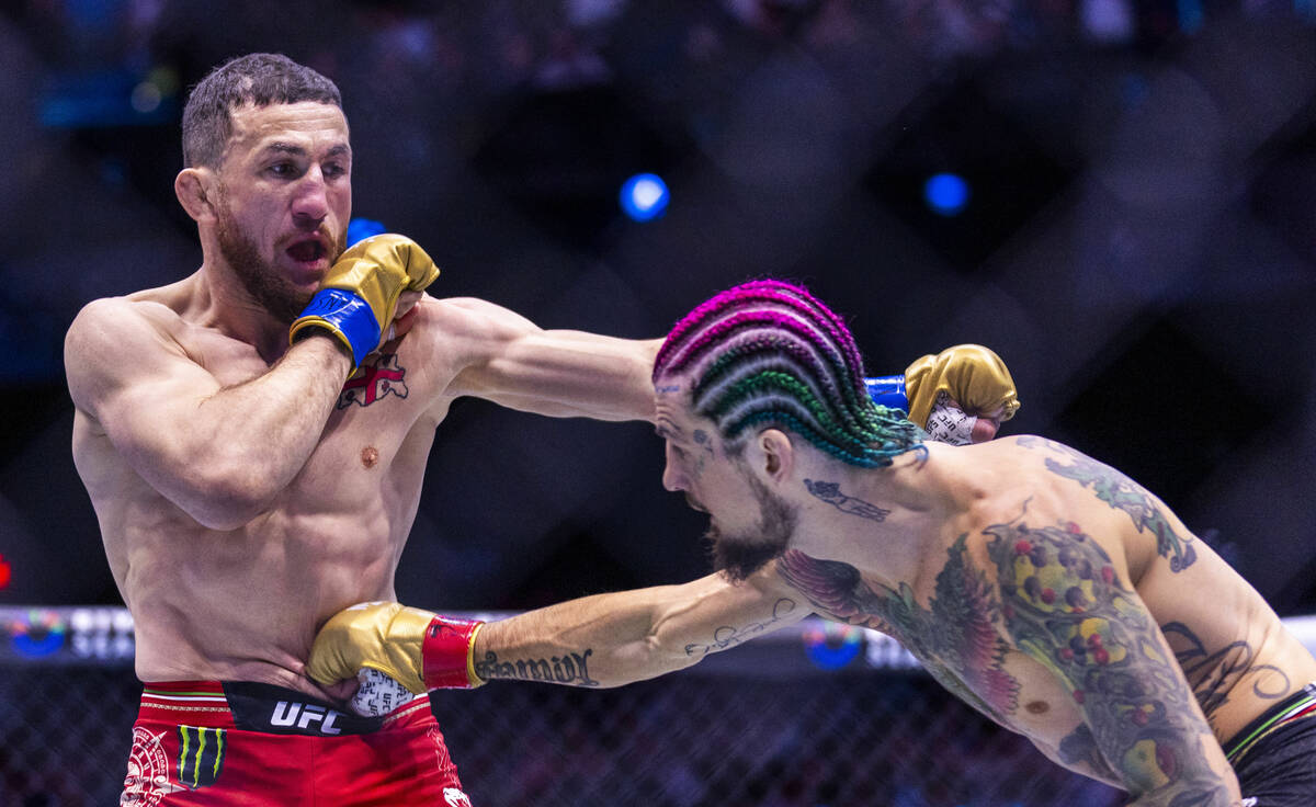 Merab Dvalishvili takes a punch to the stomach from Sean O'Malley in their bantamweight title f ...