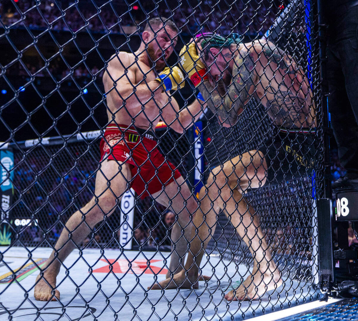 Merab Dvalishvili pounds on Sean O'Malley against the fence in their bantamweight title fight d ...