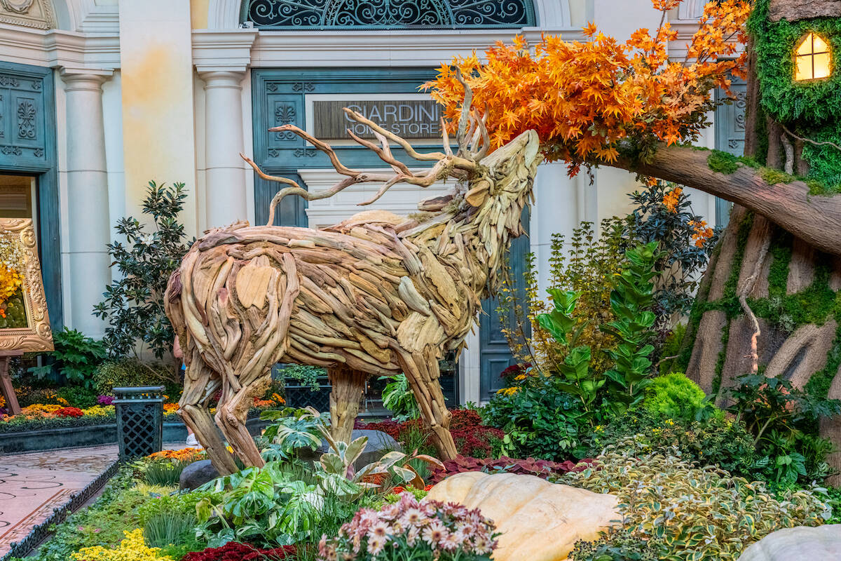 Bellagio Conservatory and Botanical Gardens new “The Garden of Time" display. (Courtesy Trevo ...