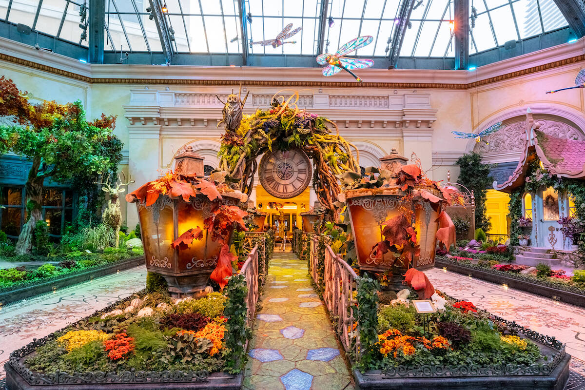 Bellagio Conservatory and Botanical Gardens new “The Garden of Time" display. (Courtesy Trevo ...