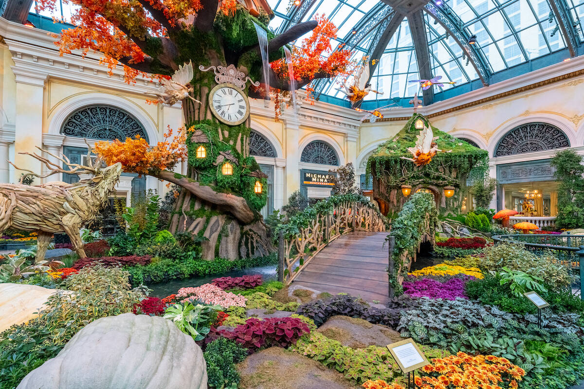 Bellagio Conservatory and Botanical Gardens new “The Garden of Time" display. (Courtesy Trevo ...