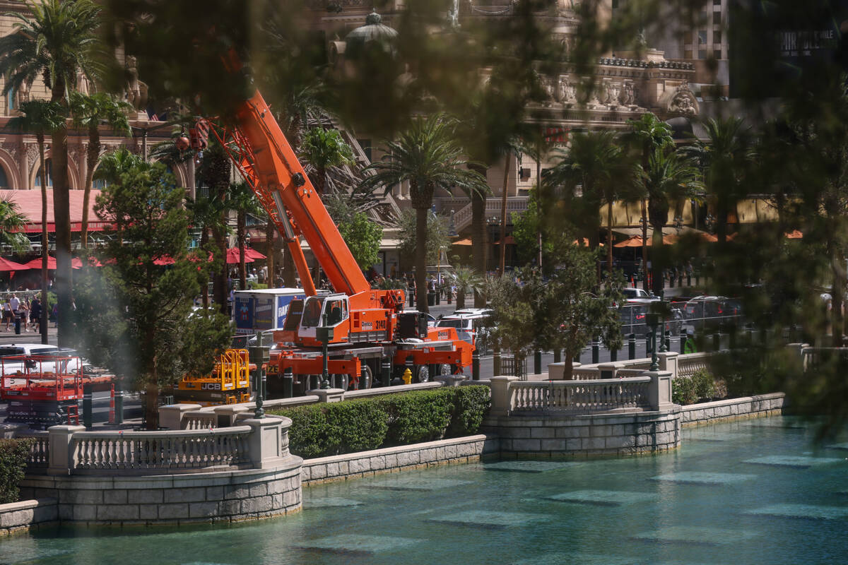 Tractors and equipment near the trees outside the Bellagio hotel-casino in Las Vegas, Tuesday, ...