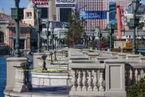 Empty spaces where trees once stood outside the Bellagio hotel-casino in Las Vegas, Tuesday, Se ...