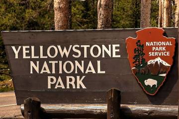 Yellowstone National Park is a nearly 3,500-square-mile wilderness recreation area atop a volca ...