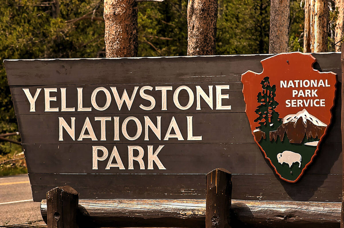 Yellowstone National Park is a nearly 3,500-square-mile wilderness recreation area atop a volca ...