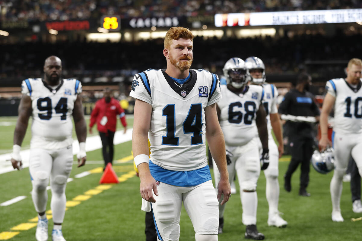 Carolina Panthers quarterback Andy Dalton (14) during an NFL football game against the New Orle ...