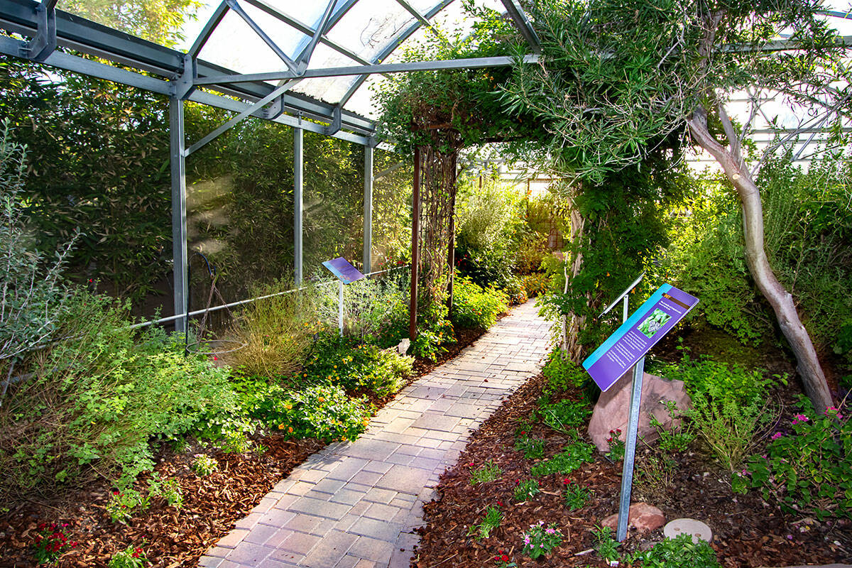 The Springs Preserve's Butterfly Habitat opens on Oct. 5. (Springs Preserve)