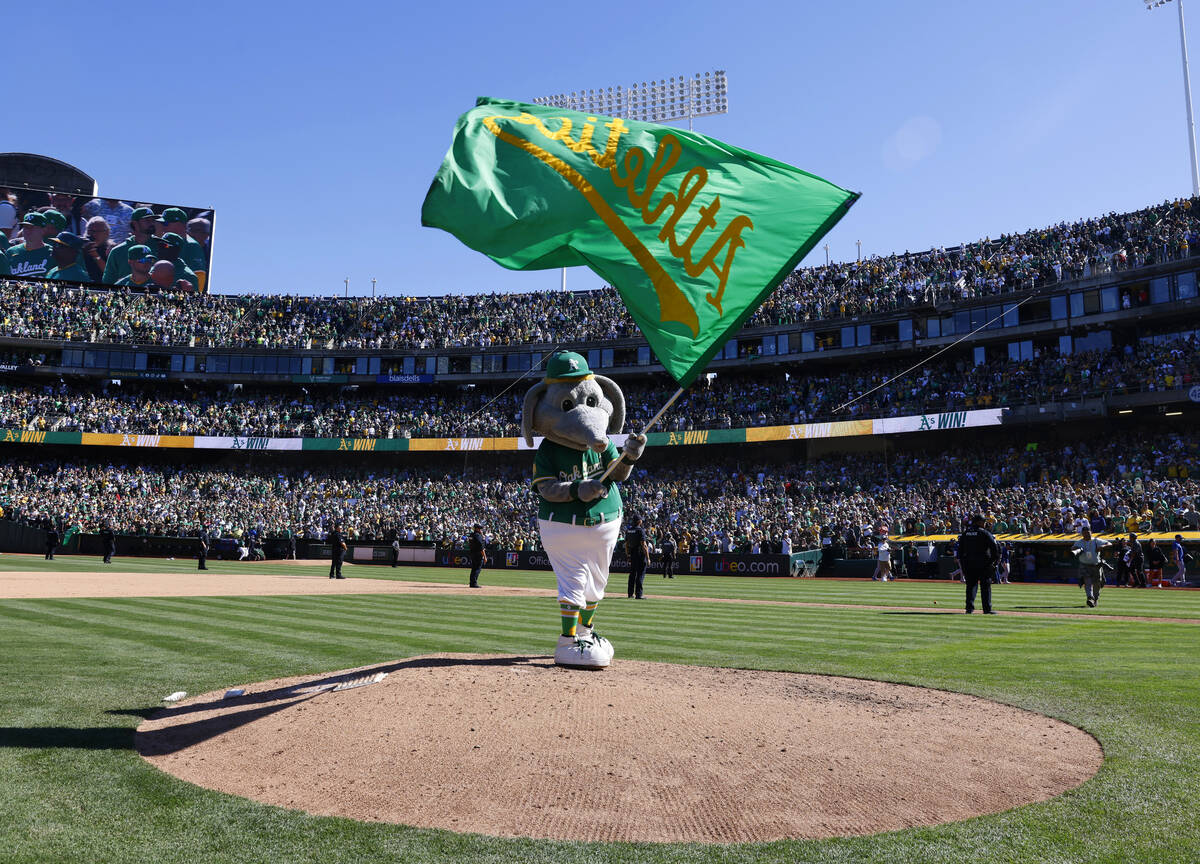 Oakland Athletics mascot, Stomper, waves the flag after the final home game against the Texas R ...