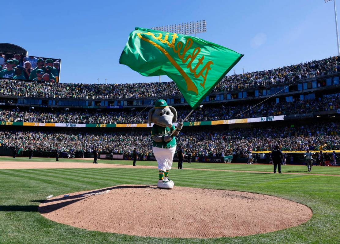 Oakland Athletics mascot Stomper waves the flag after the final home game against the Texas Ran ...