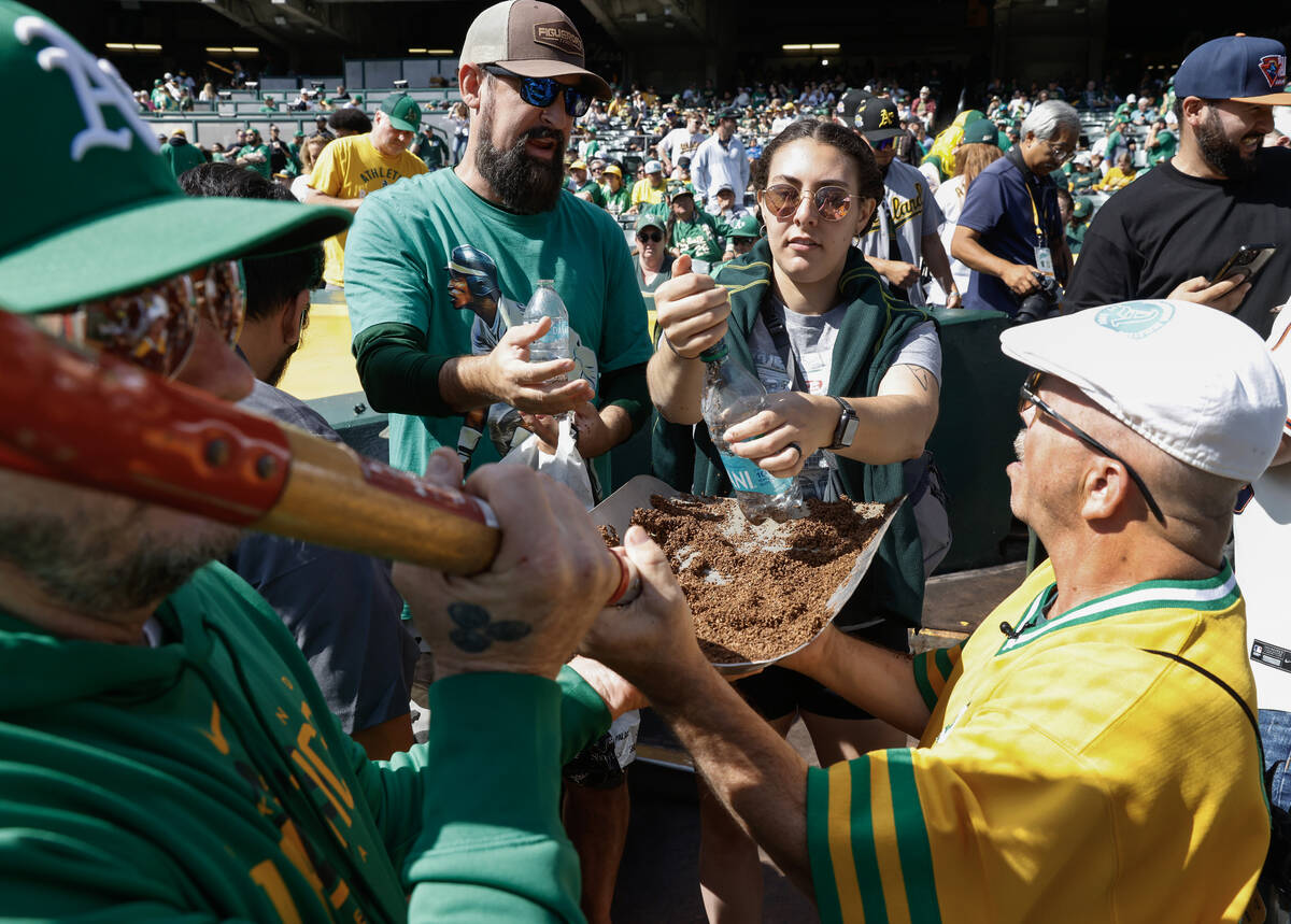 Oakland Athletics fans fill their plastic bottles with the infield dirt before the final home g ...