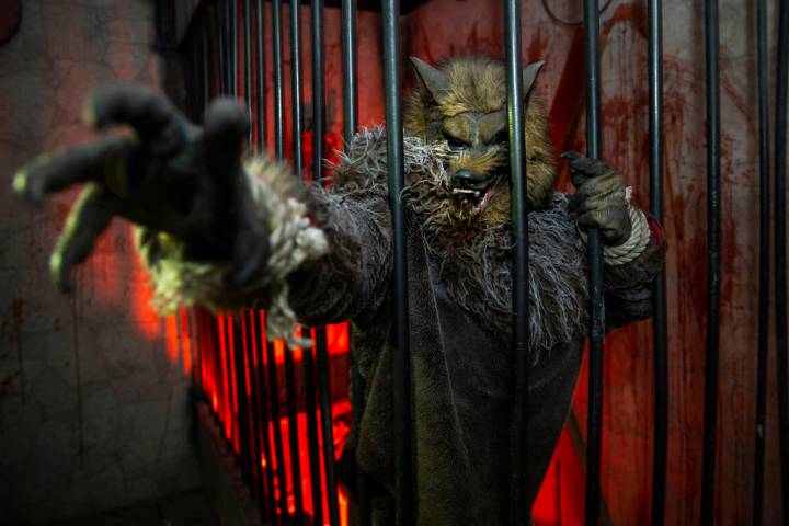 Hard Time the werewolf attempts to grab his next victim within the Castle Vampyre haunted house ...