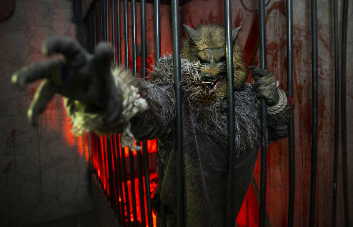 Hard Time the werewolf attempts to grab his next victim within the Castle Vampyre haunted house ...