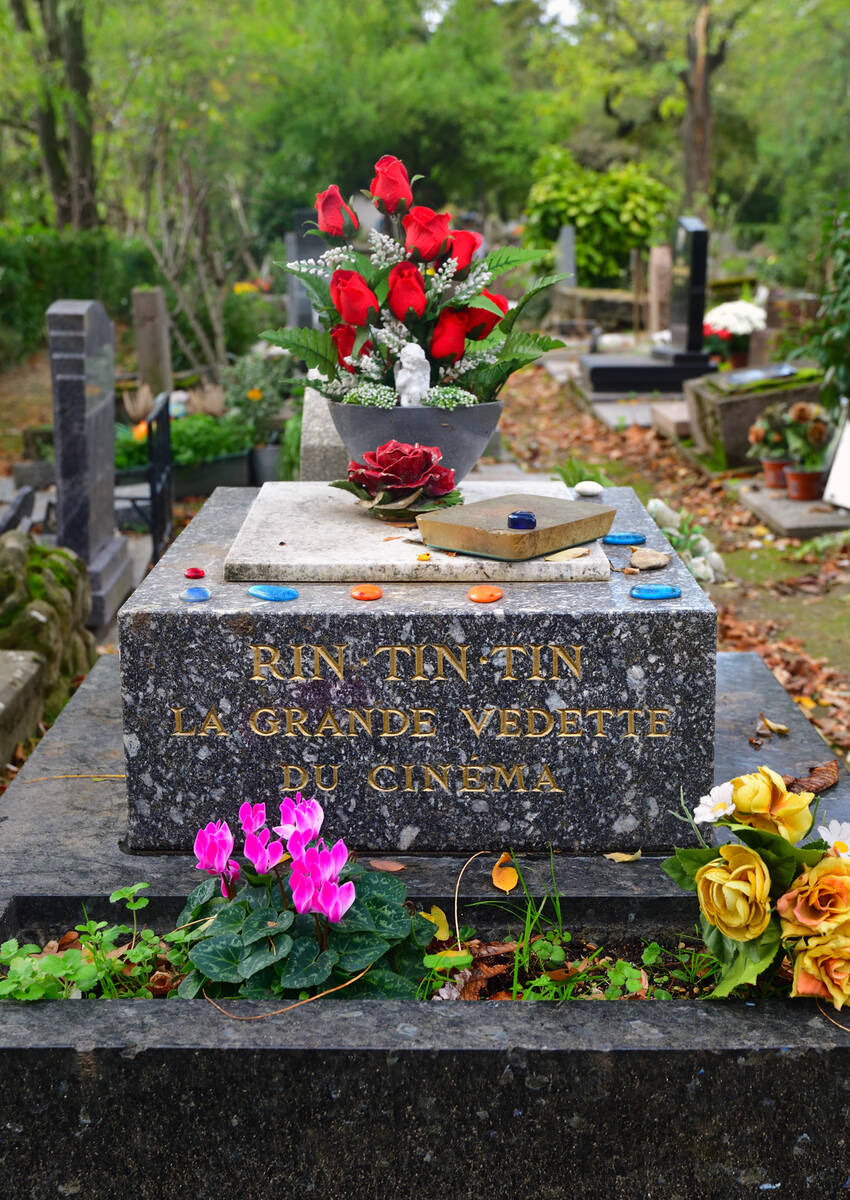 A dog named Rin Tin Tin is interred in this grave in Paris - but not the one people think, it t ...