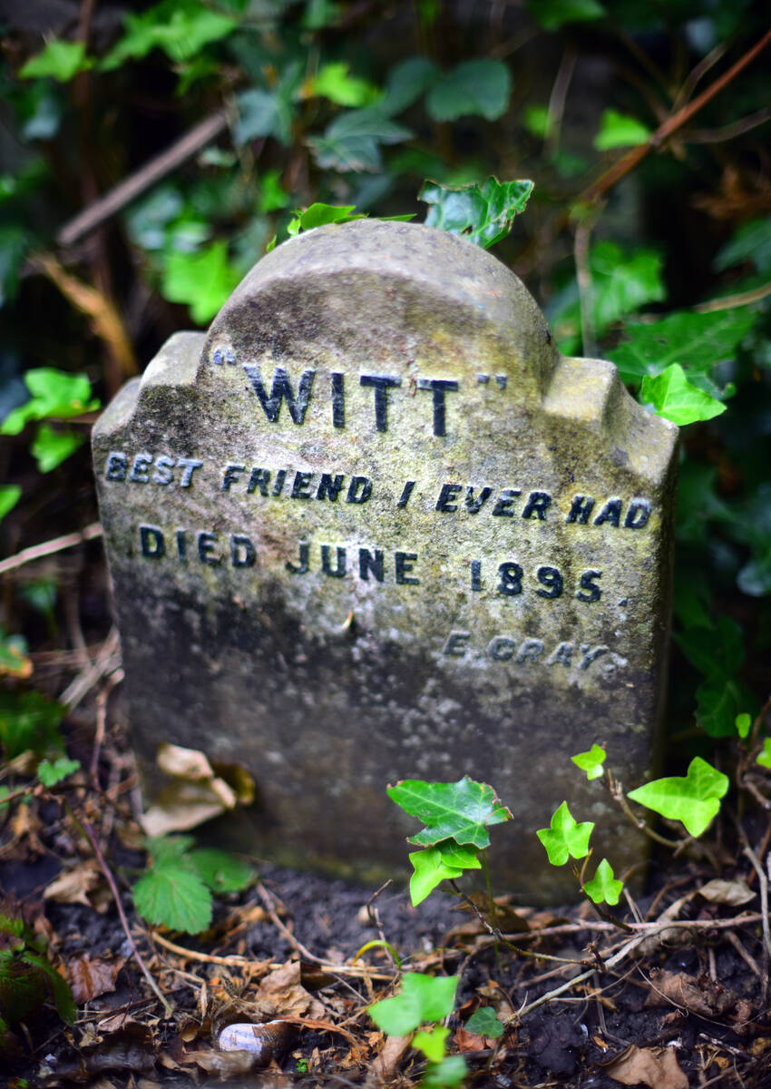 The gravestones at Hyde Park have suffered from decades of neglect, although the graves themsel ...