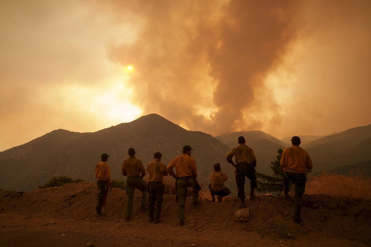 FILE - Firefighters monitor the advancing Line Fire in Angelus Oaks, Calif., Monday, Sept. 9, 2 ...