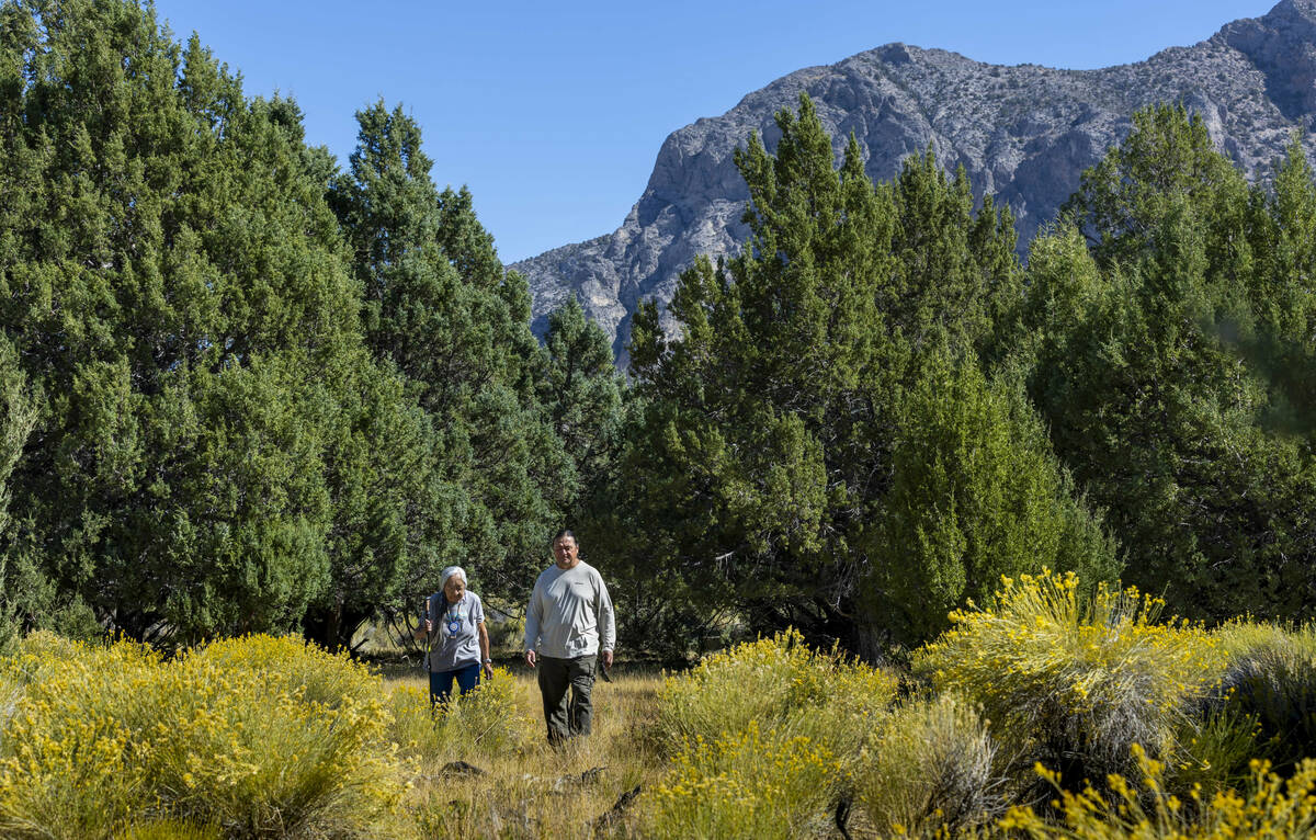 Delaine and Rick Spilsbury walk among Bahsahwahbee, a grove of Rocky Mountain juniper trees loc ...