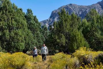 Delaine and Rick Spilsbury walk among Bahsahwahbee, a grove of Rocky Mountain juniper trees loc ...