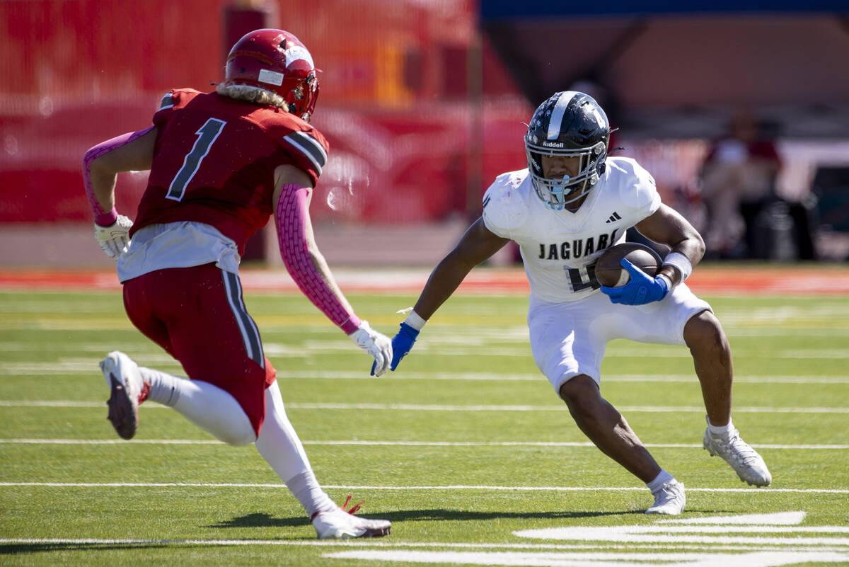 Desert Pines senior Isaiah Te'o (4) looks to avoid Arbor View senior Jordan Hales (1) during th ...