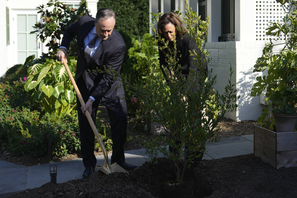 Democratic presidential nominee Vice President Kamala Harris, right, and second gentleman Doug ...