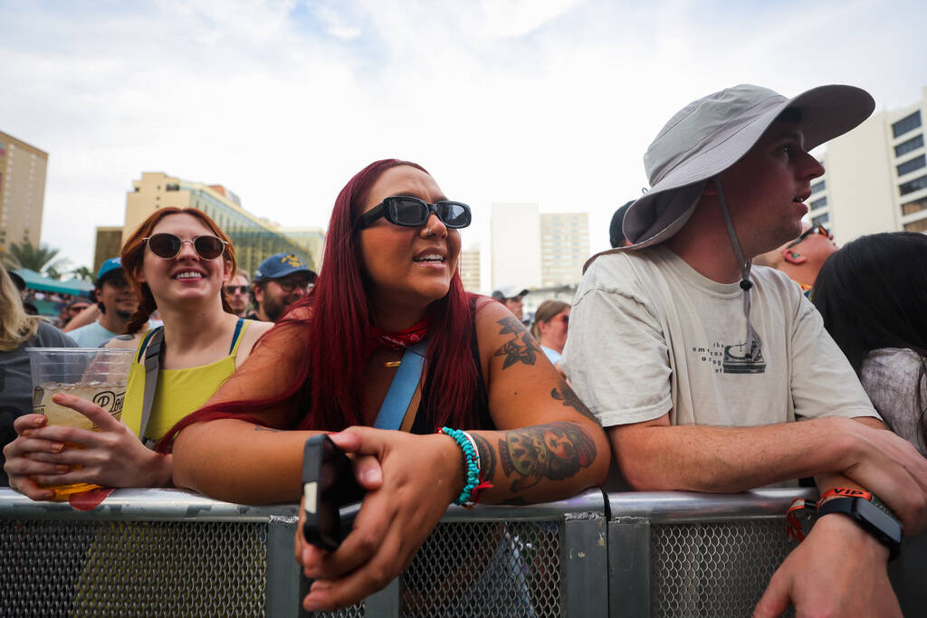 Festival attendees take in a Pinback set during the Best Friends Forever Festival at the Downto ...