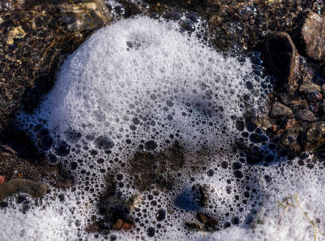 This white foam along the Lake Mohave shoreline on Tuesday, Oct. 15, 2024, is often seen with b ...