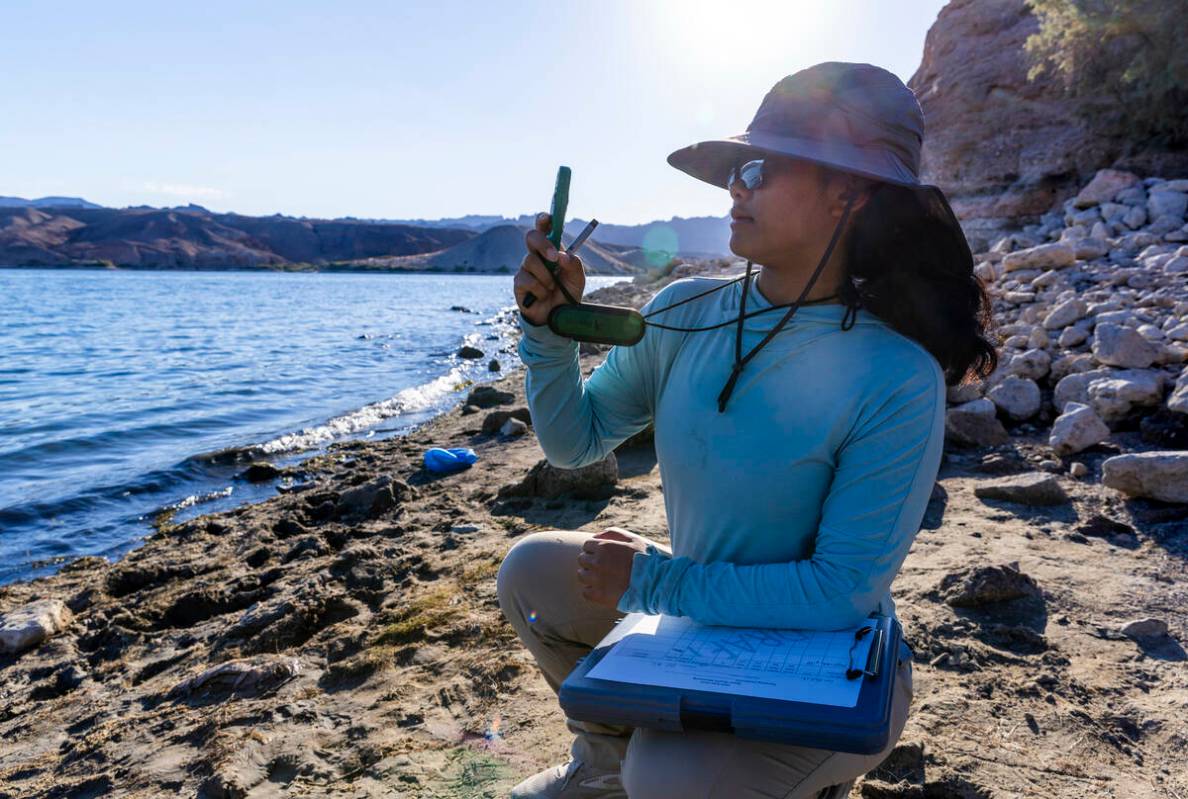 Technician Ariel Santero with the American Conservation Experience takes a wind reading while w ...