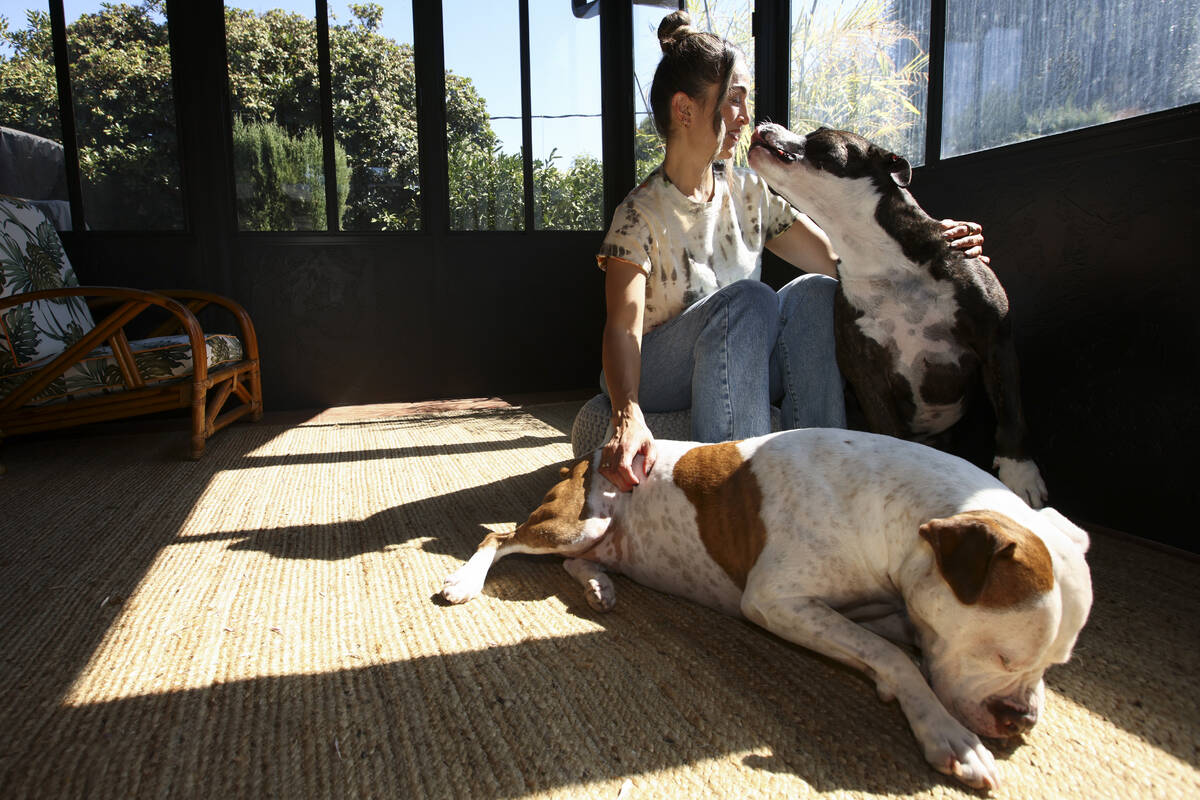 Headspace meditation teacher, Rosie Acosta, interacts with her dogs in her sun room Monday, Sep ...