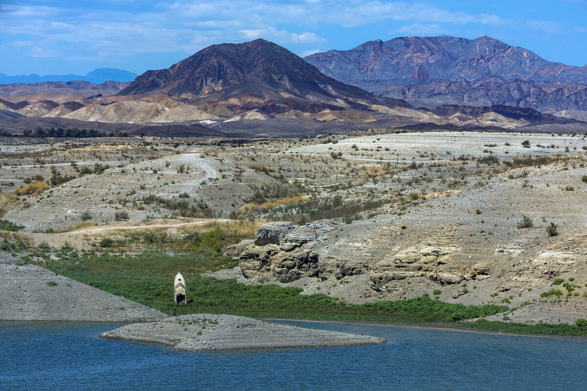 A boat sticking up along the shoreline in Government Wash is now surrounded by plants at the La ...