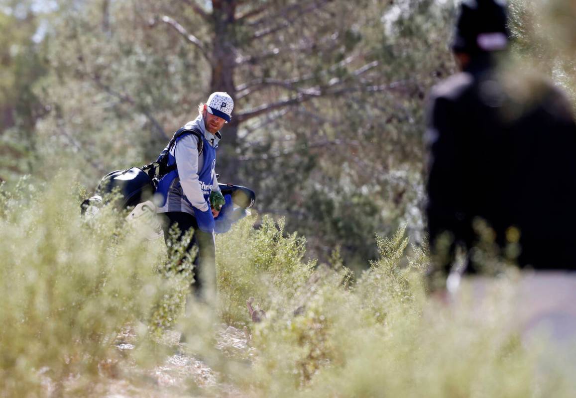 Tom Whitney's caddy looks for the ball after heavy wind diverted the ball off the course during ...