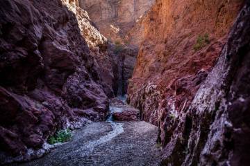 The slot canyon leading to the Arizona Hot Springs along the Colorado River on Dec. 5, 2020. (R ...