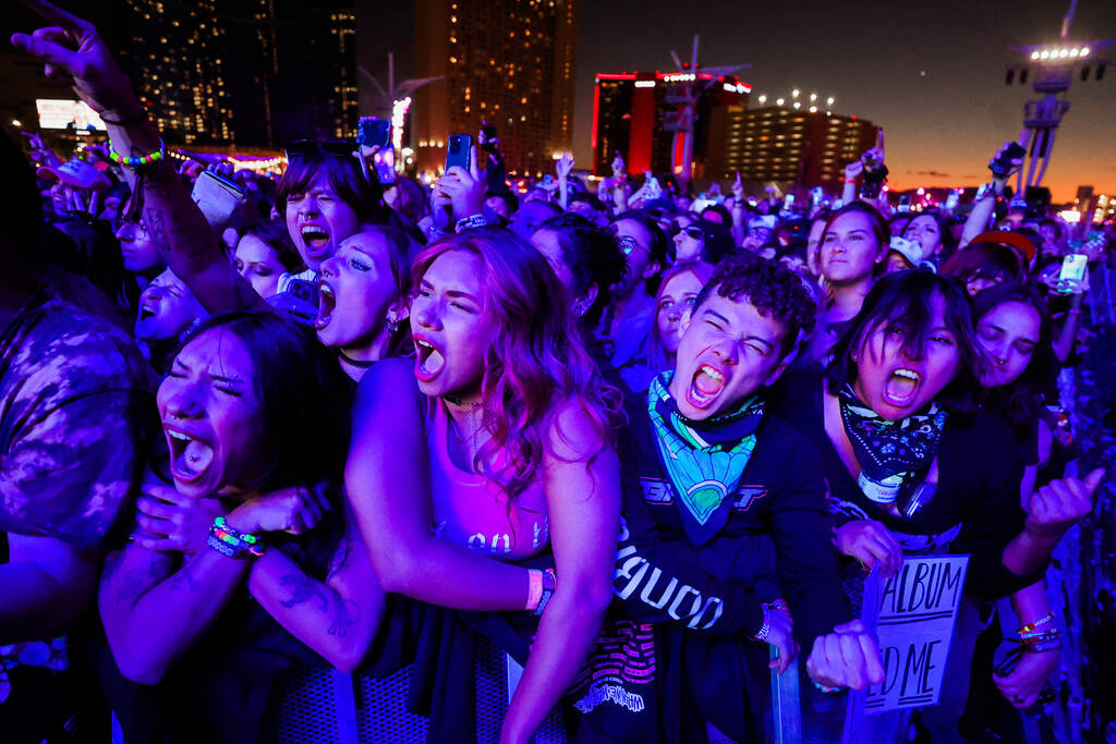 Festival attendees jam out to A Day To Remember during the When We Were Young music festival at ...