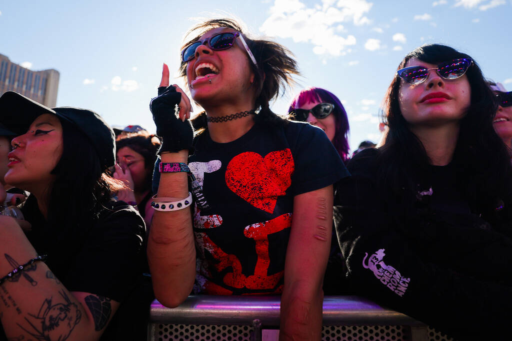 Festival attendees take in a Cobra Starship set during the When We Were Young music festival at ...