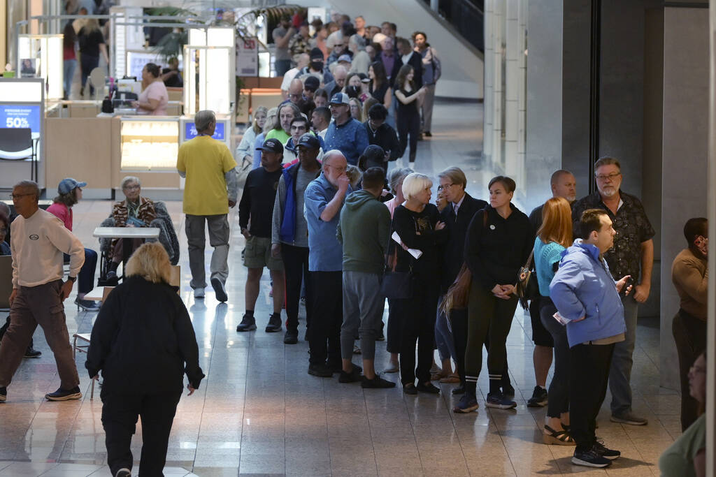 Hundreds of voters line up at the Galleria at Sunset mall to take part in early voting Saturday ...