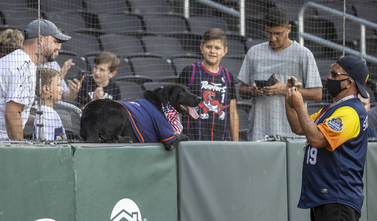 Finn the Bat Dog and his owner and trainer Fred Hassen help make photos for fans at the Aviator ...