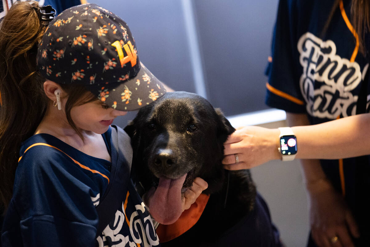 Finn the Bat Dog gets affection from fans on the night of his retirement as the Las Vegas Aviat ...