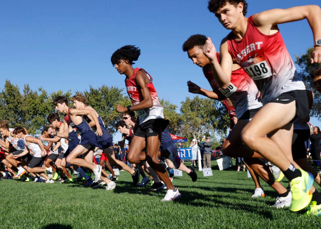 Runners of the 5A Southern Region boys cross country meet take off at Veterans Memorial Park, o ...