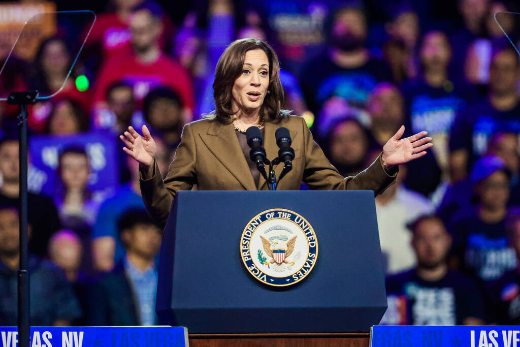 Democratic presidential nominee Vice President Kamala Harris speaks to a crowd during a campaig ...