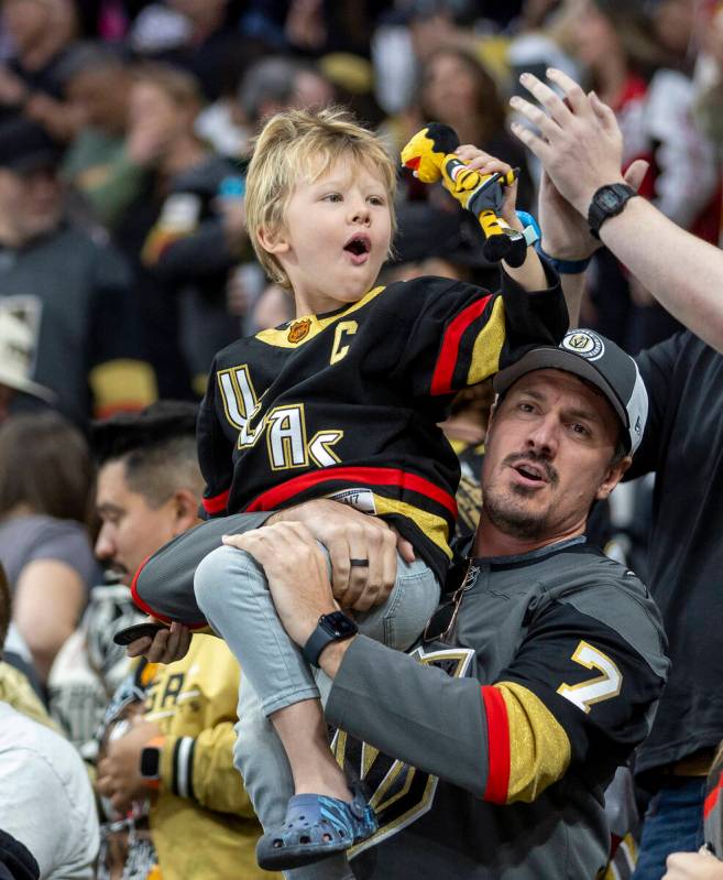 Fans celebrate a goal during the third period of the NHL hockey game against the Ottawa Senator ...