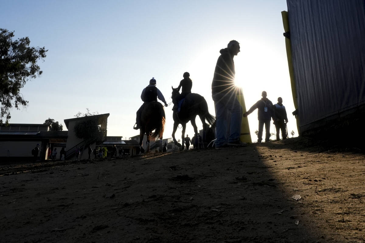 Horses and riders leave the stables ahead of the Breeders' Cup horse racing world championships ...