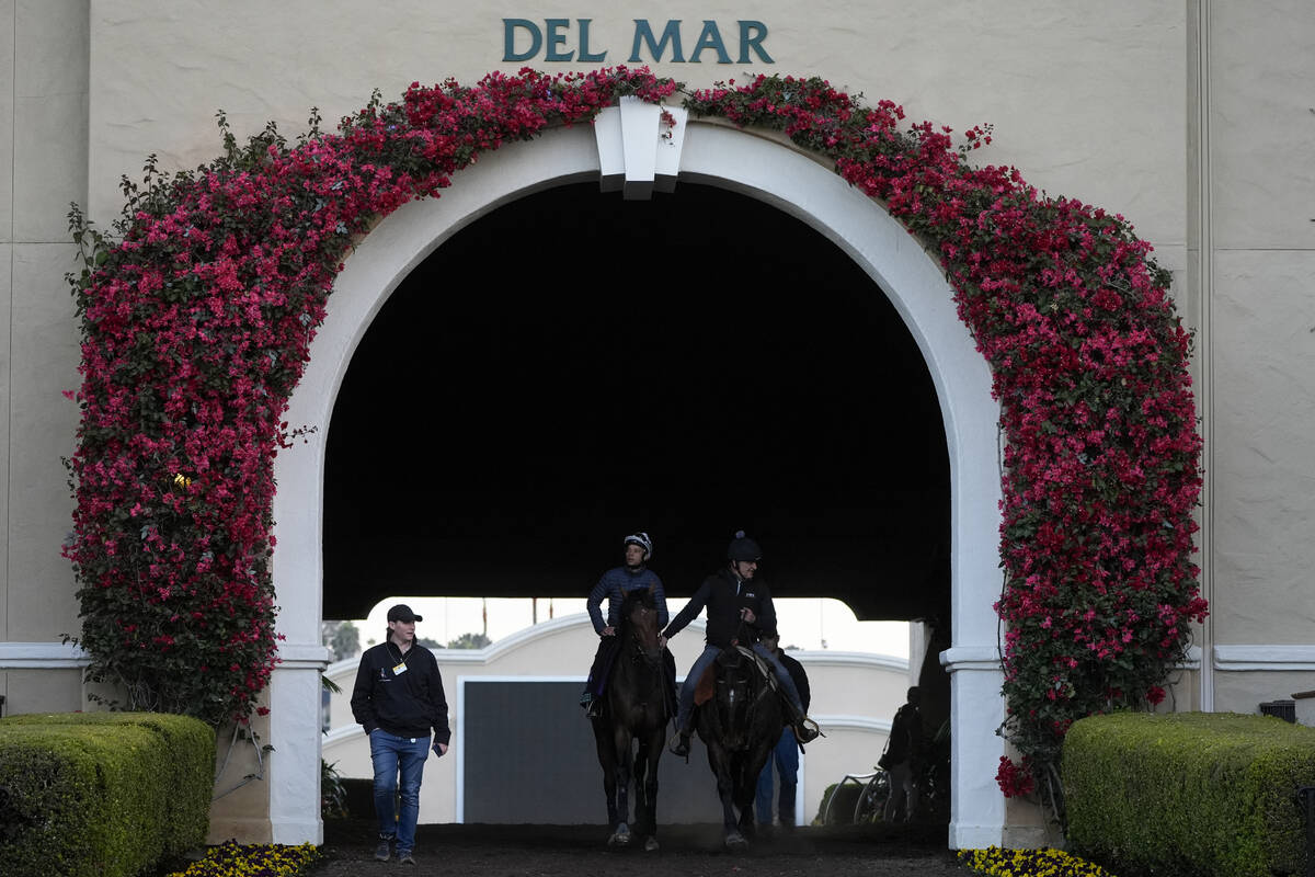 Jockey Sean Levey, left, rides Jayarebe ahead of the Breeders' Cup horse racing world champions ...