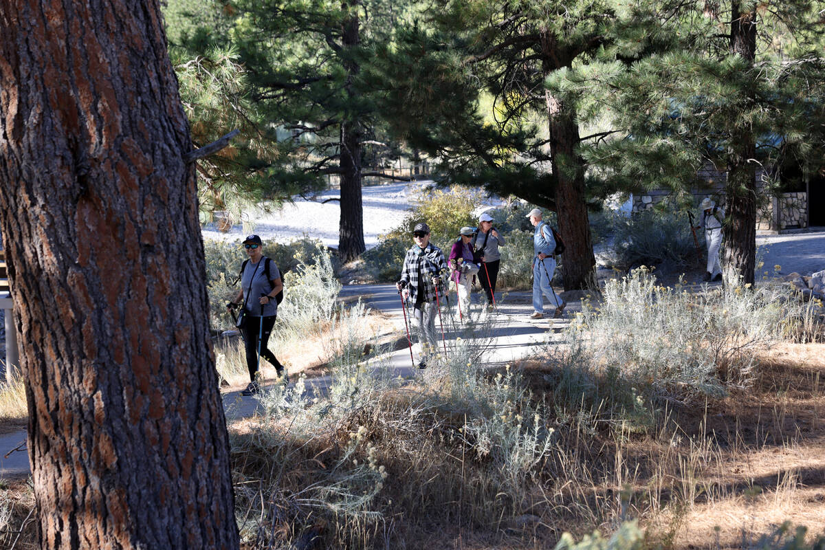 Members of the Westside Newcomers social club embark on a hike in Fletcher Canyon on Mount Char ...