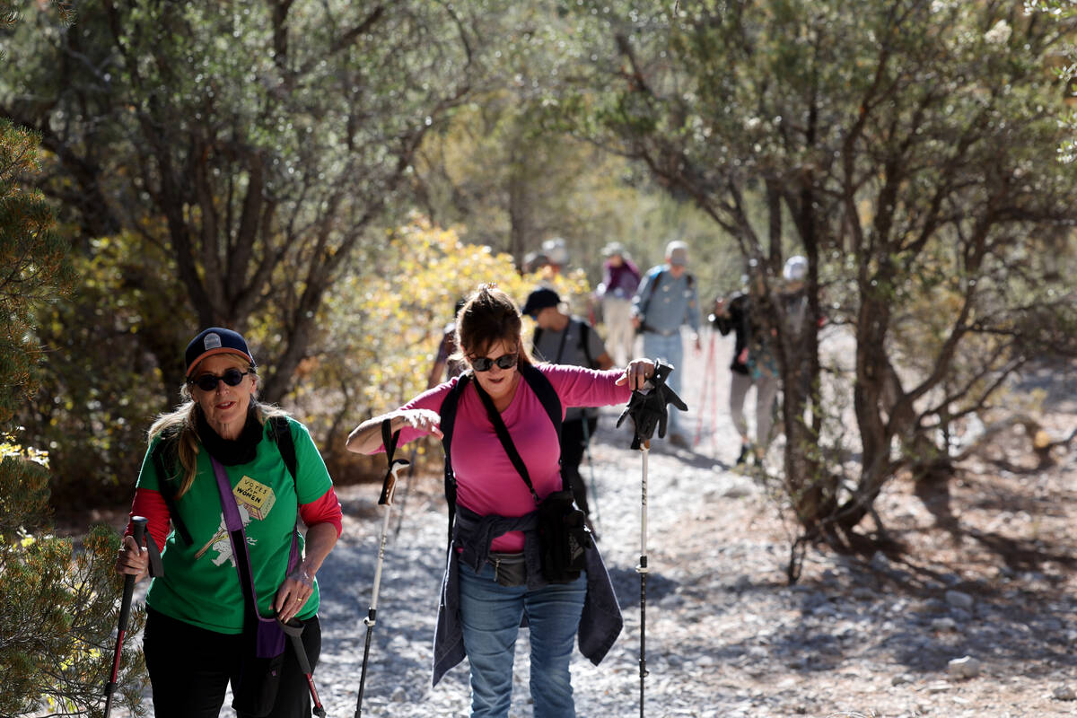 Members of the Westside Newcomers social club, including Leslie Levine, left, and Robin Schrag, ...